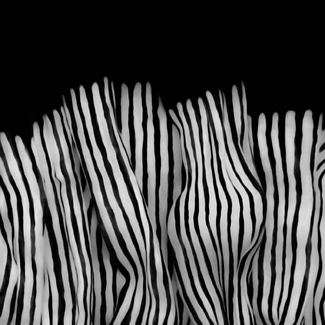 Field of Dreams Field of Dreams