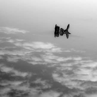 Mirrored Sky Mirrored Sky