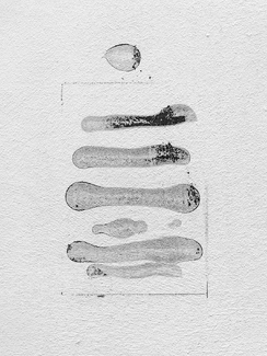 Outside the Box Outside the Box