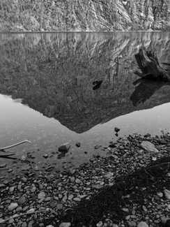 Mirror of the Silence Mirror of the Silence