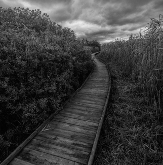 Path into Solitude Path into Solitude