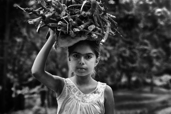 Young Girl Collecting Wood