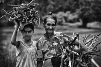 A Young Girl and her Grandmother Collecting Wood