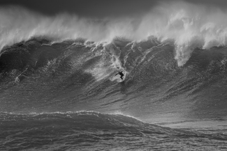 Ocean Gladiator  Ocean Gladiator