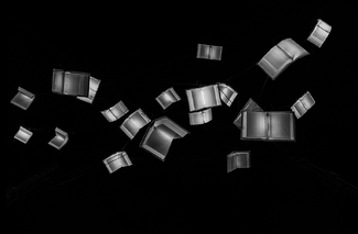 Language of the Birds Language of the Birds