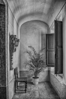 Window with Plant and Chair Window with Plant and Chair