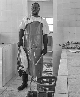 Bahamian Man with Fish Bahamian Man with Fish