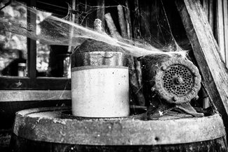 Little Jug Little Jug