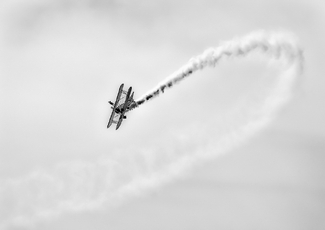 Wing Walker Wing Walker