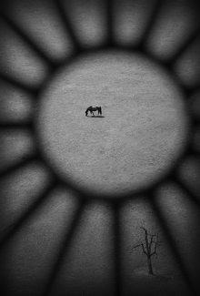 A Horse and a Tree A Horse and a Tree