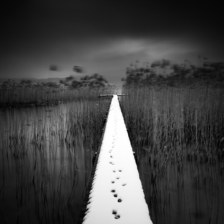 Traces Of Winter IV Traces Of Winter IV