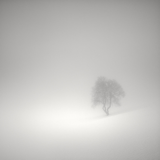 The Mirage Of Winter The Mirage Of Winter