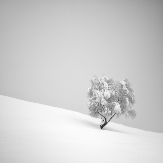 Slipping On The Snow Slipping On The Snow