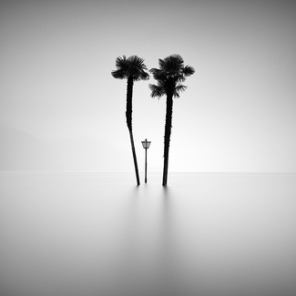 Surreal Elegance Surreal Elegance