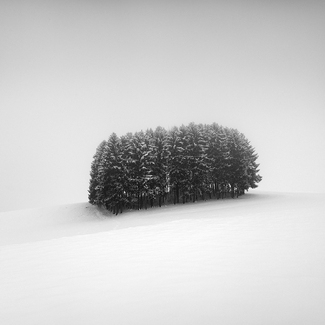 Winter Joins Winter Joins
