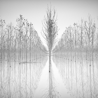 Graphical Nature I Graphical Nature I