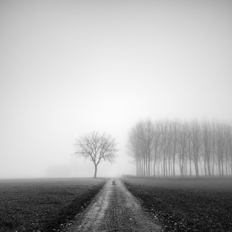 Forced distance Forced distance