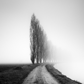 Infinite curve Infinite curve