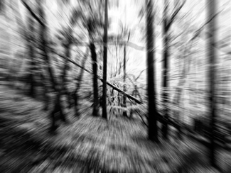 A Study of Angles A Study of Angles