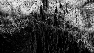 ghosts of the sea ghosts of the sea