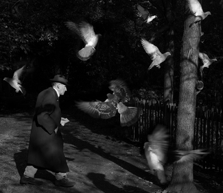 Bird man of Holland Park Bird man of Holland Park