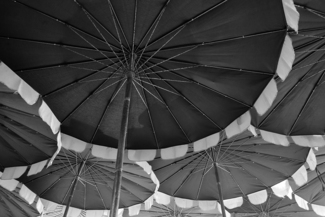 Sea of Umbrellas