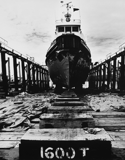 Spanish Mist in Dry Dock Spanish Mist in Dry Dock