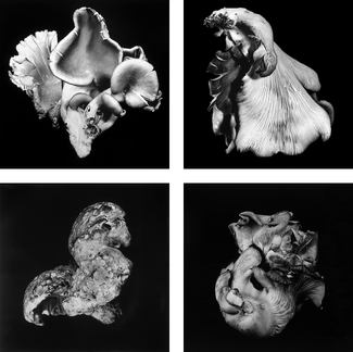 Diversity - Stronger Together Diversity - Stronger Together