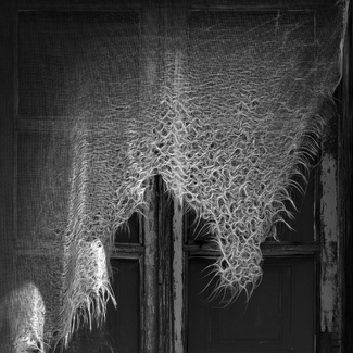 Curtain in tas sun Curtain in tas sun