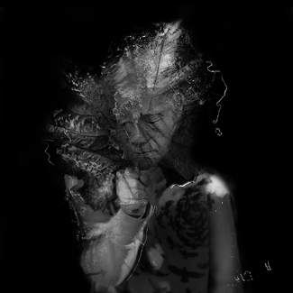Algebra of Darkness Algebra of Darkness