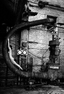 Beauty and Industry Plate N°492 Beauty and Industry Plate N°492