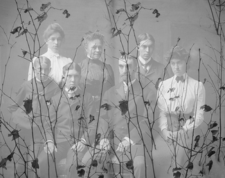 Family with Branches Family with Branches