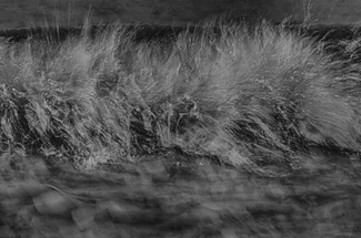 Chaos in Paradise Chaos in Paradise