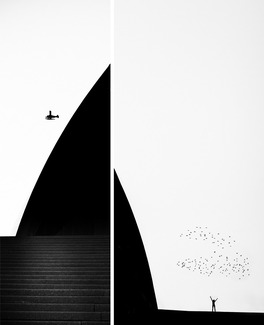 shells on the sea shore (1) shells on the sea shore (1)