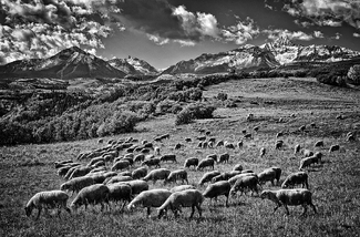Pastoral Paradise Pastoral Paradise