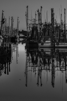 Stillness In The Bayou Stillness In The Bayou