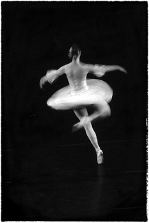 Fancy Dancer Fancy Dancer