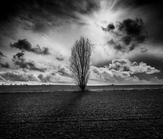Au lieu dit Vallee Chaigneau, Vendee, France 2019 Au lieu dit Vallee Chaigneau, Vendee, France 2019