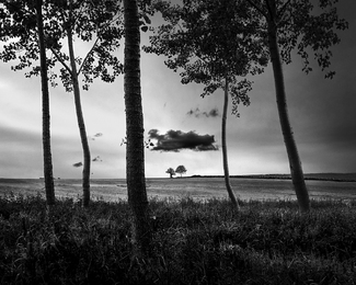 Au lieu dit Le Champ des Vignes, Vendee, France 2019 Au lieu dit Le Champ des Vignes, Vendee, France 2019