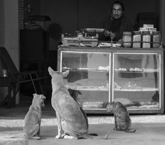Jojawar sweet shop Jojawar sweet shop