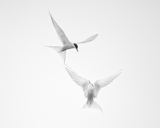 Aerial Ballet Aerial Ballet