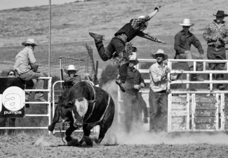Bull Riding Highs and Lows #3