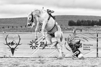 Rodeo Spill 10 Rodeo Spill 10