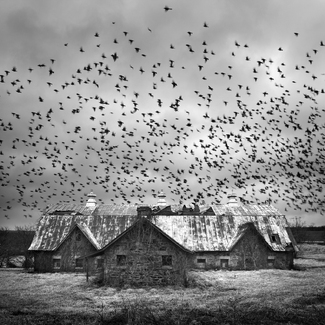 Barn, Virginia