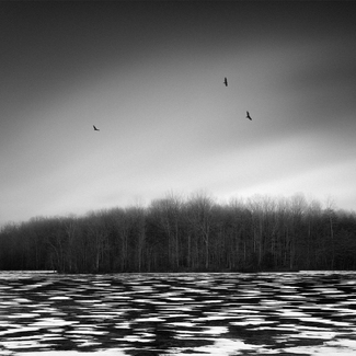Ice, Burke Lake, Virginia Ice, Burke Lake, Virginia