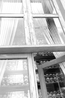 Killing Field Harvest Killing Field Harvest