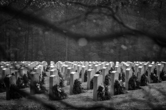 Red Bows in the Rain Red Bows in the Rain