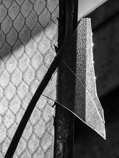 Goldfield Broken Window 1673 Goldfield Broken Window 1673