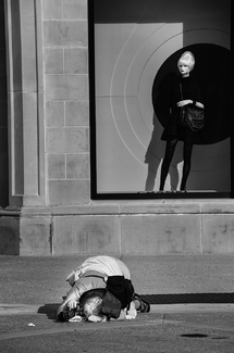 What Is She Photographing 1387 What Is She Photographing 1387