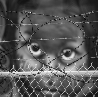 Behind Barbed Wire 3881 Behind Barbed Wire 3881